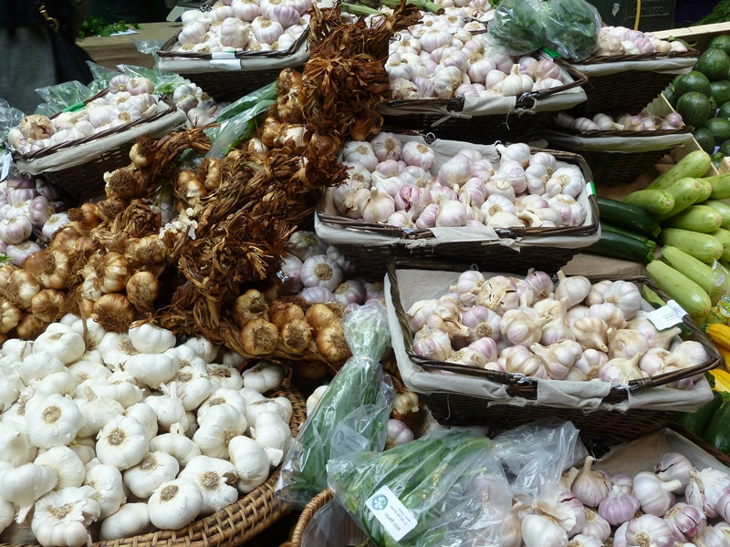 varieties of garlic